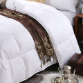 China Supplier Comfort Summer Feather Duvet / Comforter / Summer Feather Quilt